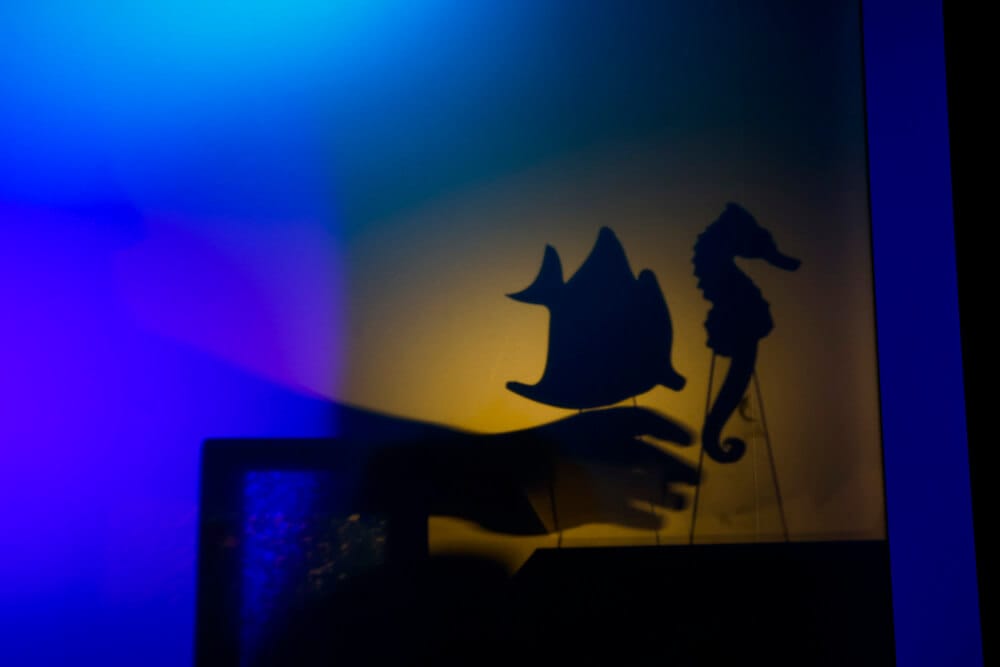 Ombre projection lumineuse - expo sparkoh