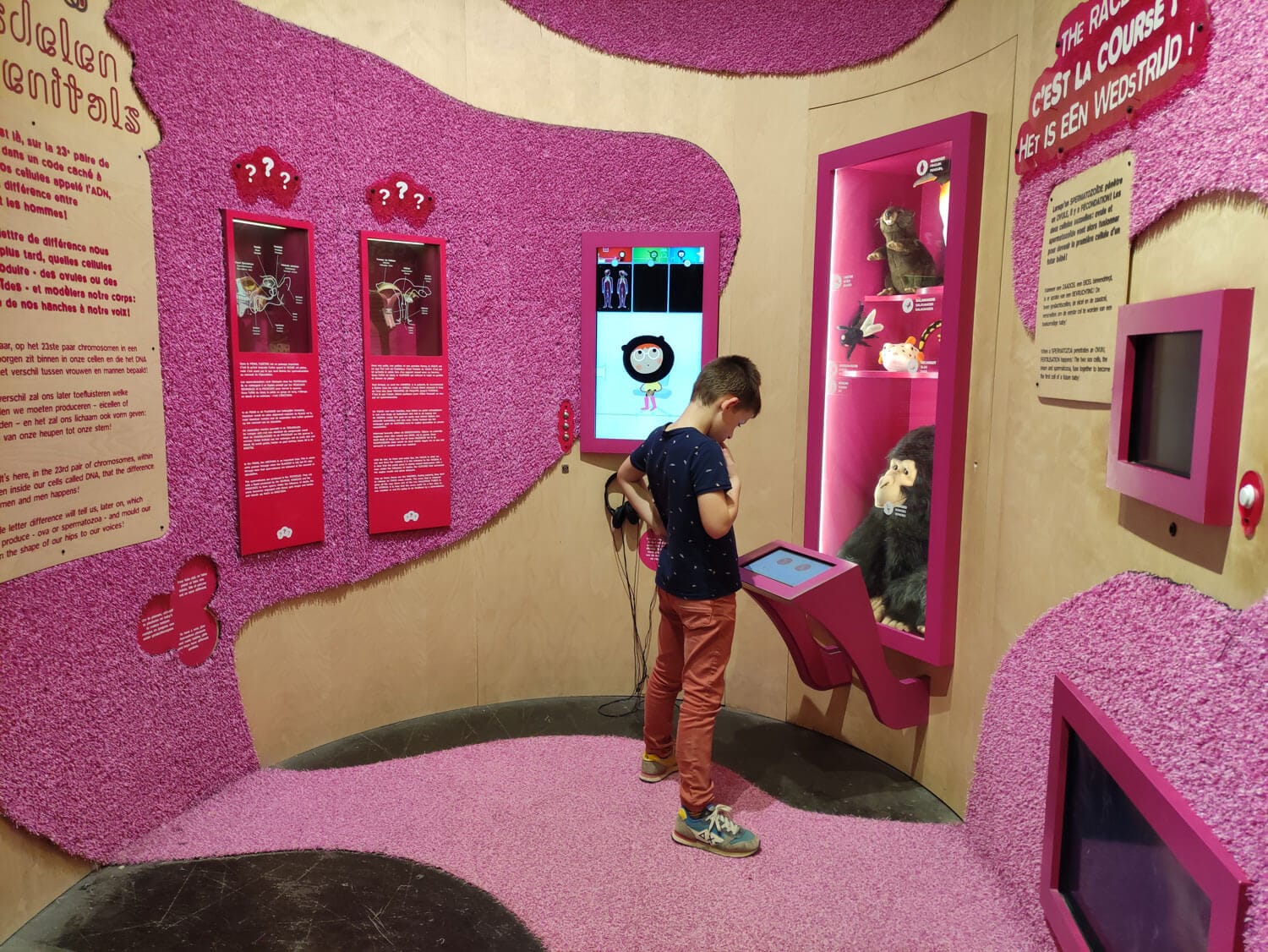 Tentoonstelling Menselijk lichaam SPARKOH! – kind kijkt naar een video