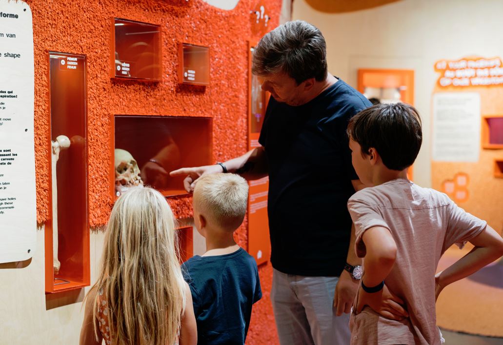 Expo corps - famille au SPARKOH! vitrine squelette