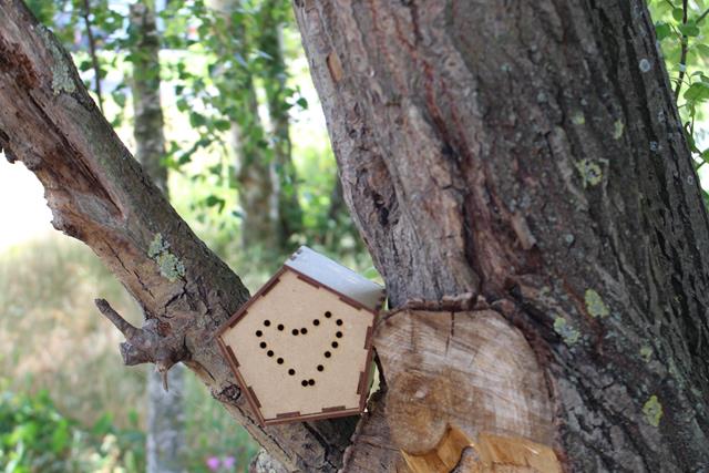 Hôtel à insecte en bois posé sur un arbre