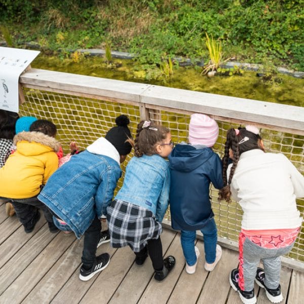 Enfants qui regardent la mare dans le Jardin de la Biodiversité