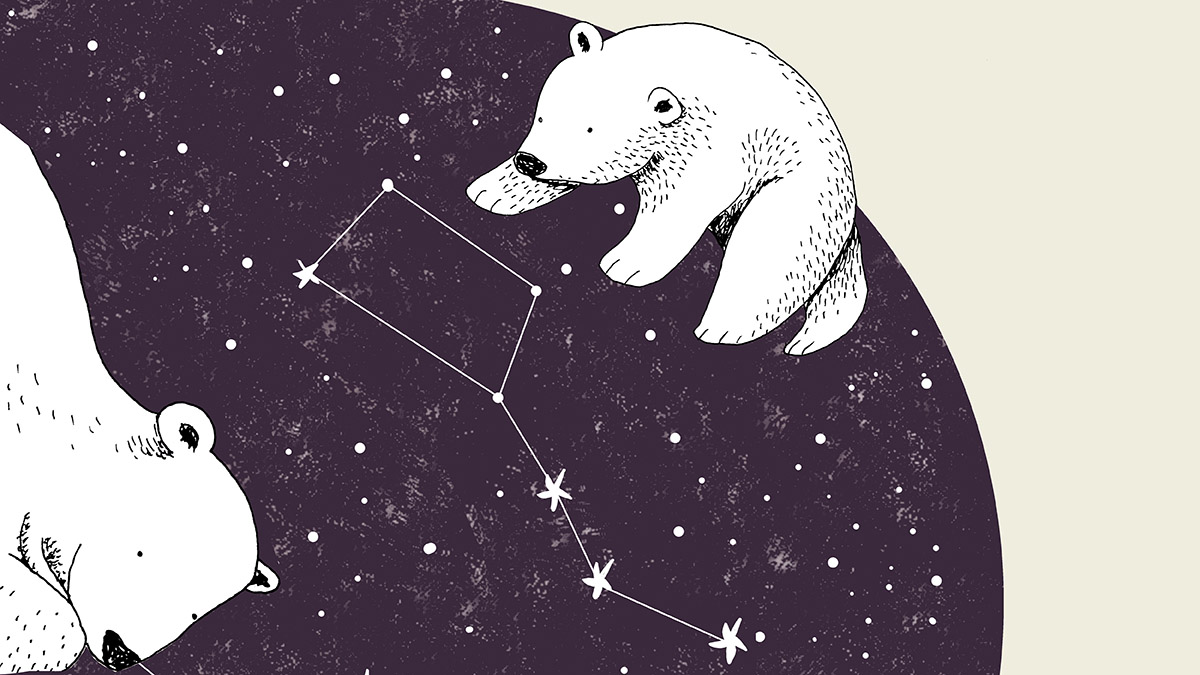 Visuel de la Nuit des étoiles - illustration ours polaires et constellations