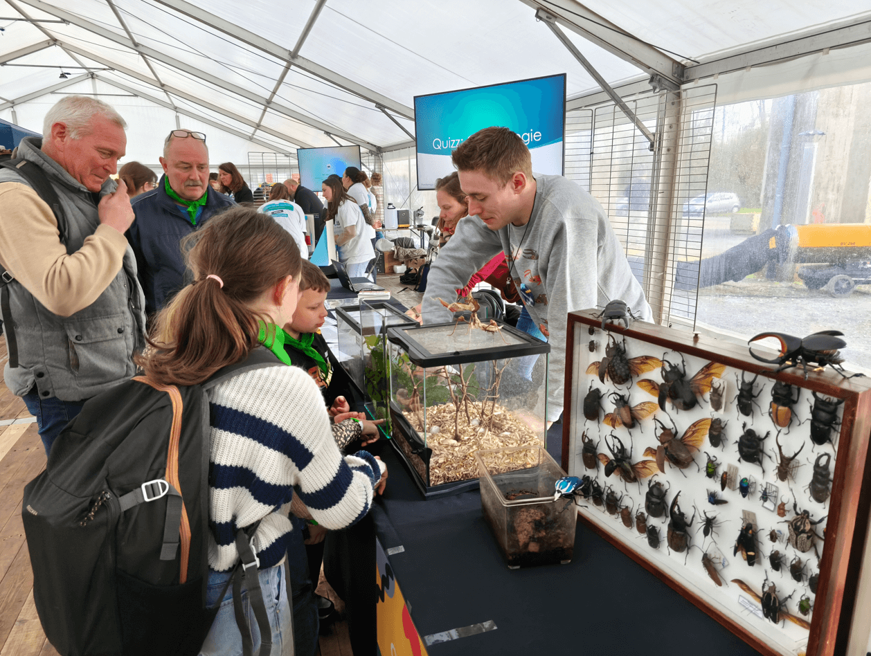Stand insecte partenaire du printemps des sciences