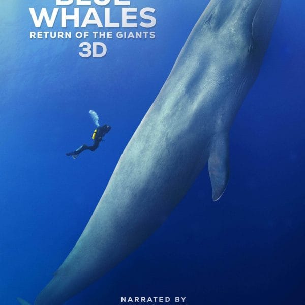 Film 4D Baleine au SPARKOH!