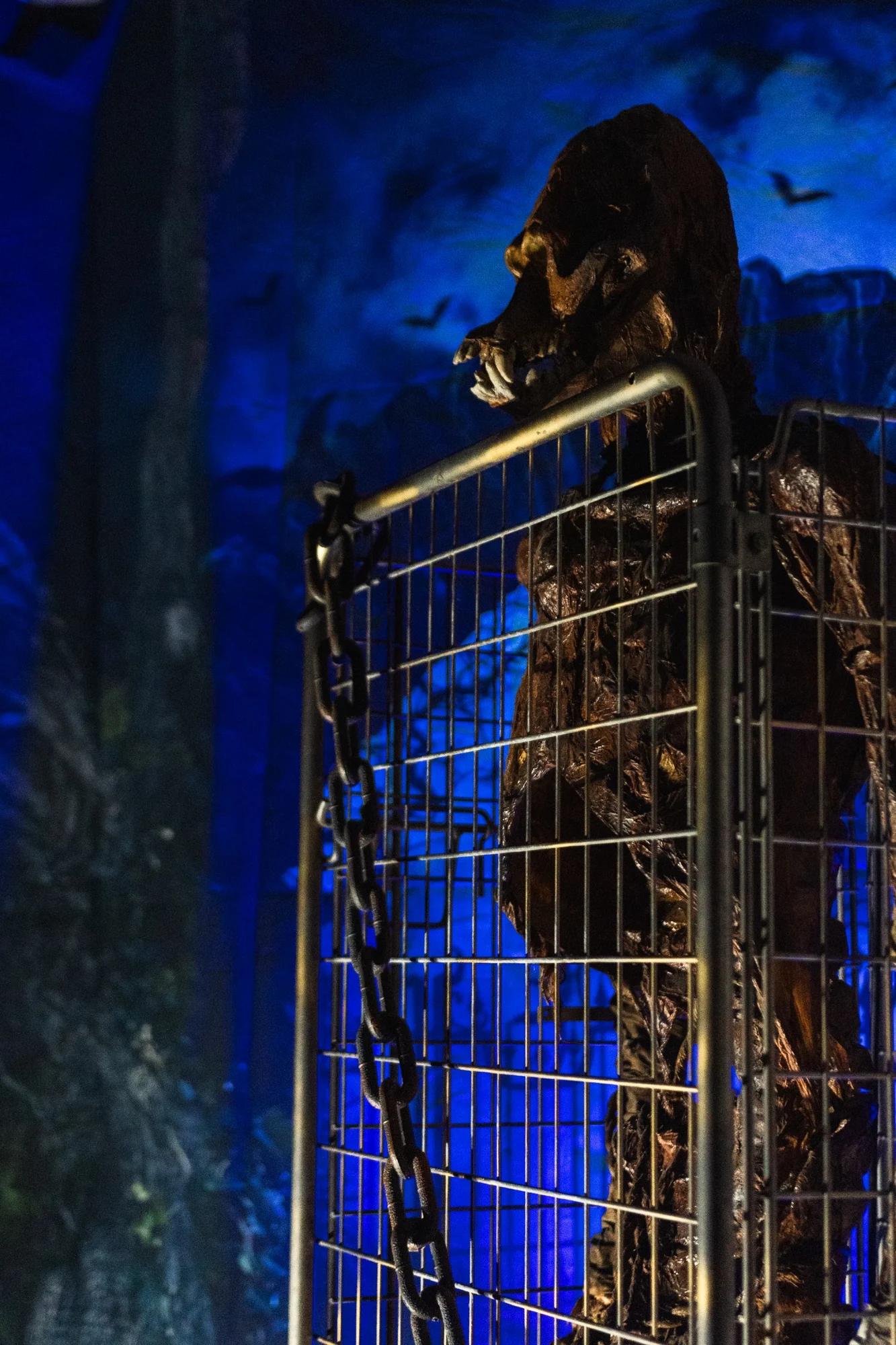 Vue sur Monstre en cage Halloween